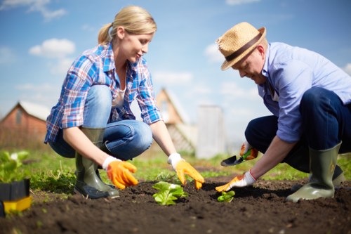 Final inspection of a maintained garden showing safety-compliant work
